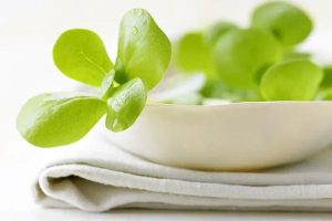 夏天脸部毛孔粗大的原因与解决方法