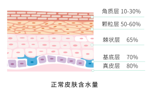 肌肤水润饱满的正确打开方式