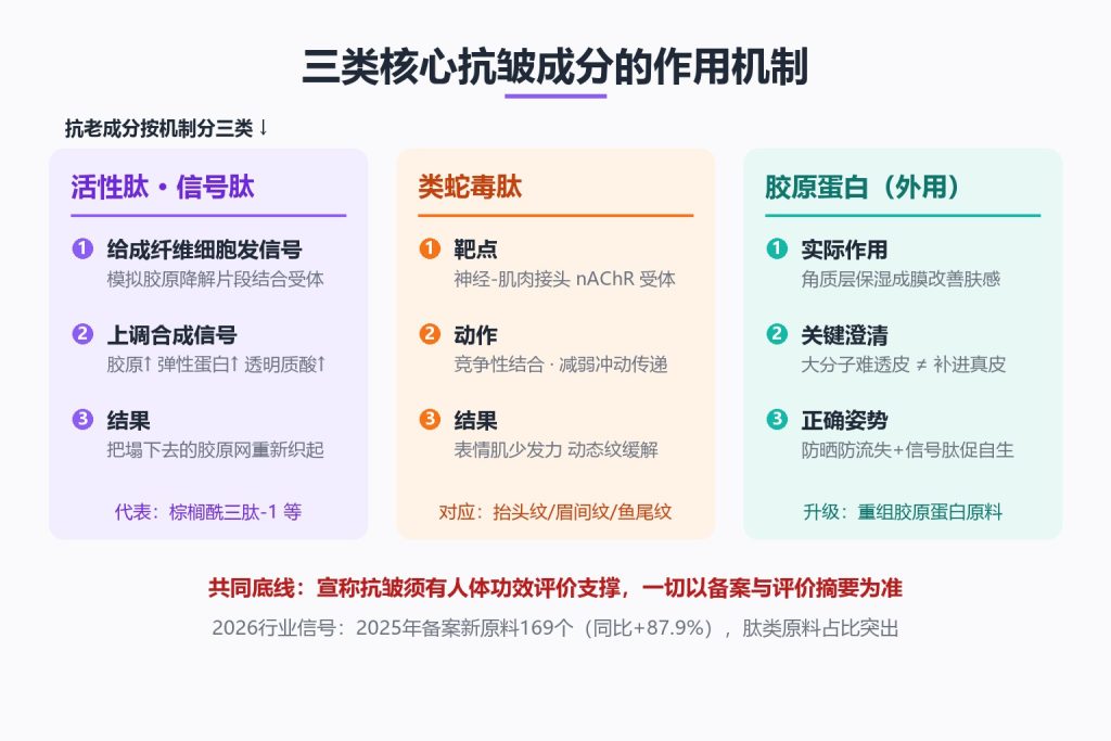 抗衰老护肤品怎么选?看懂皮肤衰老3个层次和核心成分(images 2)