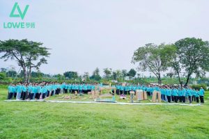 同心同行，“薇”你更精彩丨浓情盛夏，萝薇团建活动回顾