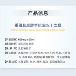 自主移动机器人